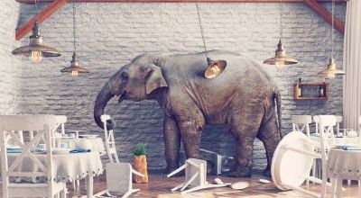 Elefant im Raum Schulhaftpflichtversicherung für das Referendariat